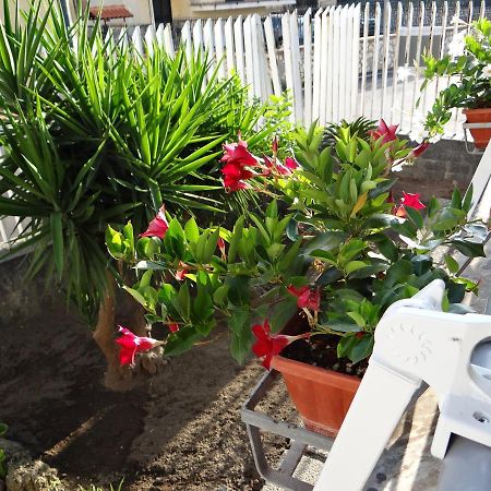 White Lady B&B Pompei Bagian luar foto