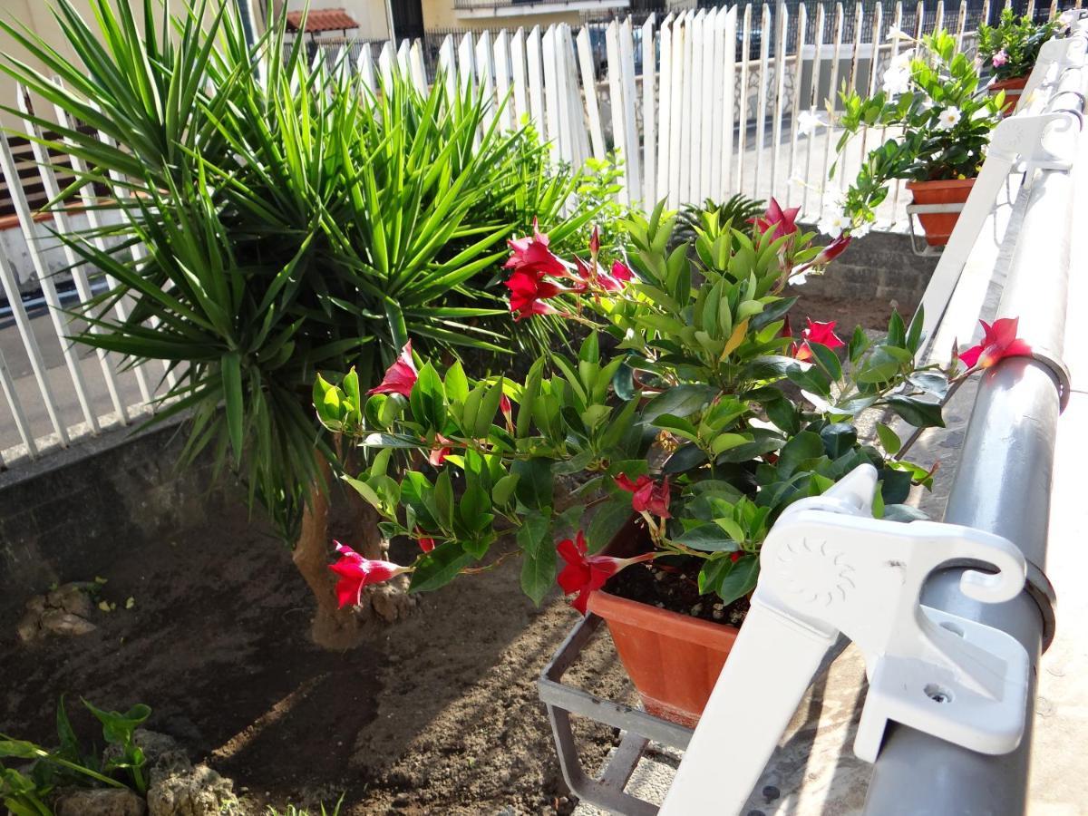 White Lady B&B Pompei Bagian luar foto